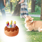 Maxbell Dog Large Birthday Cake, Bone, Present Squeaky Plush Toy Small Cake