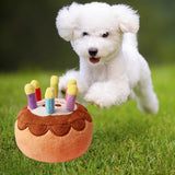 Maxbell Dog Large Birthday Cake, Bone, Present Squeaky Plush Toy Small Cake