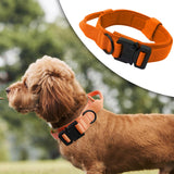 Maxbell Nylon Dog Collar Training Collar for Puppy Small Medium Large Dogs M Orange