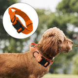 Maxbell Nylon Dog Collar Training Collar for Puppy Small Medium Large Dogs M Orange