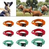 Maxbell Nylon Dog Collar Training Collar for Puppy Small Medium Large Dogs M Orange