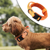 Maxbell Nylon Dog Collar Training Collar for Puppy Small Medium Large Dogs XL Orange