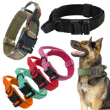 Maxbell Nylon Dog Collar Training Collar for Puppy Small Medium Large Dogs XL Orange