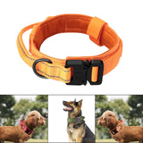 Maxbell Nylon Dog Collar Training Collar for Puppy Small Medium Large Dogs XL Orange