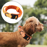 Maxbell Nylon Dog Collar Training Collar for Puppy Small Medium Large Dogs XL Orange