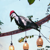 Maxbell Simulation Woodpecker Bird Artificial Gift for Outdoor Yard Decorative