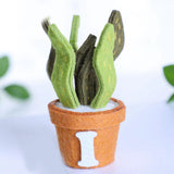 Maxbell Creative DIY Felt Succulent Plant Art Craft Kit Kids Toy for Home Christmas