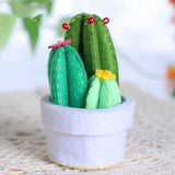 Maxbell Creative DIY Felt Succulent Plant Art Craft Kit Kids Toy for Home Christmas