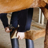 Maxbell Horse Hoof Pick Brush Equestrian Tool Grooming Soft Grip Blue