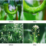 Maxbell 10x Macro Lens Camera 75mm Phone Lense Camera Kit for 90% Smartphones