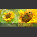 Maxbell 10x Macro Lens Camera 75mm Phone Lense Camera Kit for 90% Smartphones