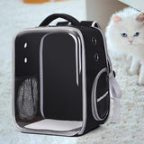 Maxbell Cat Carrier Bag Breathable Mesh Transparent for Strolling Outdoor Activities Black