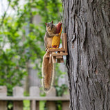 Maxbell Squirrel Feeder for Outside Table Wooden Squirrel Feeder for Outdoor Garden