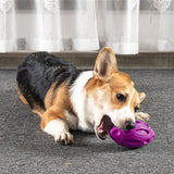 Maxbell Squeaky Dog Toys Puppy Chew Ball with Squeaker Dog Squeaking Toys purple