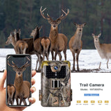 Maxbell HD Outdoor Hunting Camera Wild Animal Detector Trail Night Camera Infrared