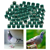 Maxbell 100Pcs 2022 Aluminium Dove Racing Pigeon Foot Rings Bands 8mm Green