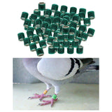 Maxbell 100Pcs 2022 Aluminium Dove Racing Pigeon Foot Rings Bands 8mm Green