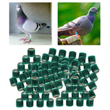 Maxbell 100Pcs 2022 Aluminium Dove Racing Pigeon Foot Rings Bands 8mm Green