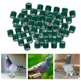 Maxbell 100Pcs 2022 Aluminium Dove Racing Pigeon Foot Rings Bands 8mm Green