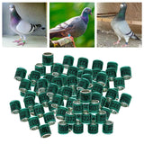 Maxbell 100Pcs 2022 Aluminium Dove Racing Pigeon Foot Rings Bands 8mm Green