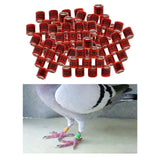 Maxbell 100Pcs 2022 Aluminium Dove Racing Pigeon Foot Rings Bands 8mm Red