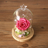 Maxbell Glass Cover Dried Flower Vase Terrarium Landscape Container with Wood Base