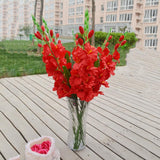 Maxbell 1pcs Artificial Simulation Gladiolus Flower Stem Wedding Home Decor Red