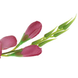 Maxbell 1x Artificial Simulation Gladiolus Flower Stem Wedding Home Decor Rose Red