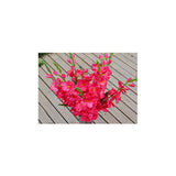 Maxbell 1x Artificial Simulation Gladiolus Flower Stem Wedding Home Decor Rose Red