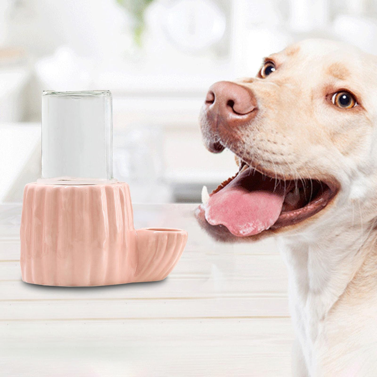 Maxbell Automatic Water Dispenser Feeder Cat Drinking Fountain for Puppy Kitten Pink