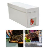 Maxbell Queen Bee Rearing System DIY Beekeeping Beekeepers Tool Complete Beehive