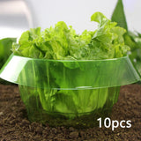 Maxbell Reusable Plants Protective Collars Protection Guard for Vegetables 10Pcs