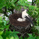 Maxbell Nature Artificial with Eggs Decorative Bird Cage for Wedding white
