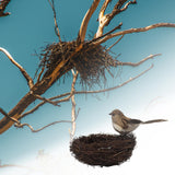 Maxbell Nature Artificial with Eggs Decorative Bird Cage for Wedding grey