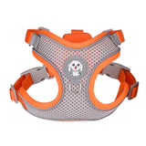 Maxbell Dogs Harness and Leash Set Chest Strap Padded for Outdoor Orange Small