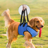 Maxbell Dog Sling Helps Elderly Dogs with Reduced Mobility for Older Dogs Disabled S