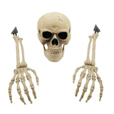 Maxbell Skeleton Animated Props Hand Arms Halloween Head Skull for Lawn Mantel