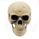 Maxbell Skeleton Animated Props Hand Arms Halloween Head Skull for Lawn Mantel
