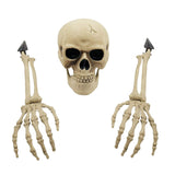 Maxbell Skeleton Animated Props Hand Arms Halloween Head Skull for Lawn Mantel