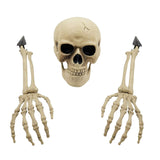 Maxbell Skeleton Animated Props Hand Arms Halloween Head Skull for Lawn Mantel