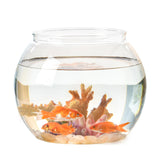 Maxbell Fishes Tank Aquatic Aquarium Home Decorative Fish Bowls Table  11.5cmx13cm