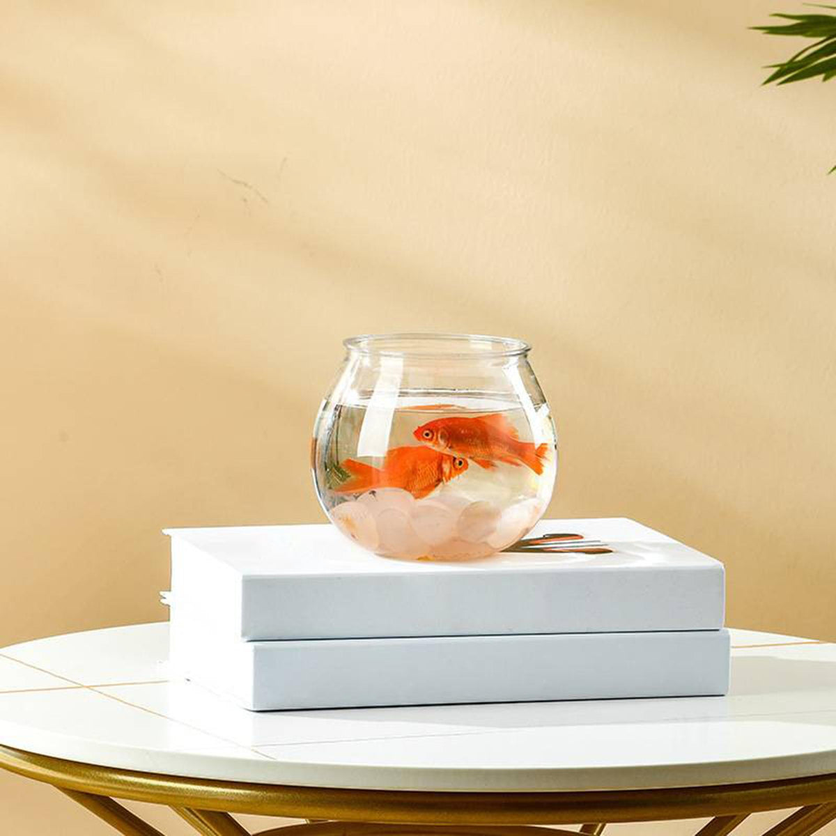 Maxbell Fishes Tank Aquatic Aquarium Home Decorative Fish Bowls Table  11.5cmx13cm