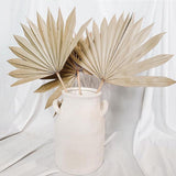Maxbell 3 Pieces Dried Palm Leaves Boho Natural Color for Anniversary Birthday Party