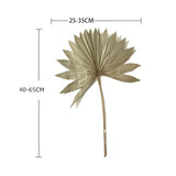 Maxbell 3 Pieces Dried Palm Leaves Boho Natural Color for Anniversary Birthday Party