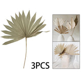 Maxbell 3 Pieces Dried Palm Leaves Boho Natural Color for Anniversary Birthday Party