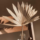 Maxbell 3 Pieces Dried Palm Leaves Boho Natural Color for Anniversary Birthday Party