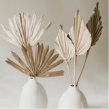 Maxbell 3 Pieces Dried Palm Leaves Boho Natural Color for Anniversary Birthday Party