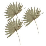 Maxbell 3 Pieces Dried Palm Leaves Boho Natural Color for Anniversary Birthday Party