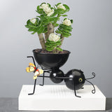 Maxbell Bonsai Planter Flower Container Flowerpot Desktop Office Decor 17cmx16.5cm