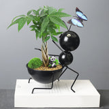 Maxbell Bonsai Planter Flower Container Flowerpot Desktop Office Decor 17cmx16.5cm